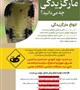 از مار گزیدگی چه می‌دانید؟